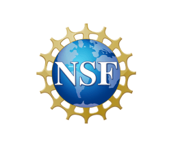 NSF logo - expansion